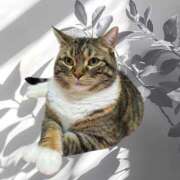 ヒメ日記 2026/01/23 17:48 投稿 藤森粧子(ふじもりしょうこ) 五十路マダムエクスプレス厚木店(カサブランカグループ)