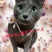 ヒメ日記 2026/01/31 04:08 投稿 藤森粧子(ふじもりしょうこ) 五十路マダムエクスプレス厚木店(カサブランカグループ)