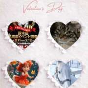 ヒメ日記 2026/02/11 21:20 投稿 藤森粧子(ふじもりしょうこ) 五十路マダムエクスプレス厚木店(カサブランカグループ)