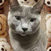 ヒメ日記 2026/03/23 22:28 投稿 藤森粧子(ふじもりしょうこ) 五十路マダムエクスプレス厚木店(カサブランカグループ)