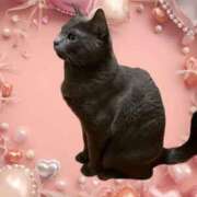 ヒメ日記 2026/04/05 02:54 投稿 藤森粧子(ふじもりしょうこ) 五十路マダムエクスプレス厚木店(カサブランカグループ)