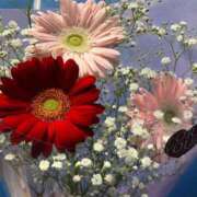 ヒメ日記 2026/04/11 16:10 投稿 藤森粧子(ふじもりしょうこ) 五十路マダムエクスプレス厚木店(カサブランカグループ)