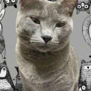 藤森粧子(ふじもりしょうこ) 退勤しました〜 五十路マダムエクスプレス厚木店(カサブランカグループ)