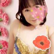 ヒメ日記 2026/05/19 15:06 投稿 藤森粧子(ふじもりしょうこ) 五十路マダムエクスプレス厚木店(カサブランカグループ)