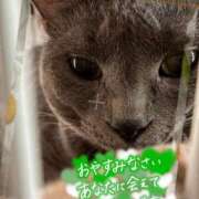 ヒメ日記 2026/08/30 01:44 投稿 藤森粧子(ふじもりしょうこ) 五十路マダムエクスプレス厚木店(カサブランカグループ)