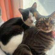 ヒメ日記 2025/09/02 16:43 投稿 みおり 完熟ばなな神戸・三宮店