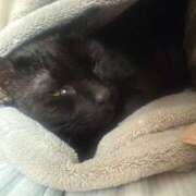 ヒメ日記 2025/09/25 09:48 投稿 みおり 完熟ばなな神戸・三宮店