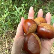 ヒメ日記 2025/10/03 18:38 投稿 みおり 完熟ばなな神戸・三宮店