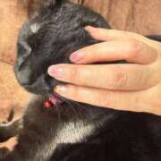 ヒメ日記 2025/10/08 09:07 投稿 みおり 完熟ばなな神戸・三宮店