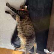 ヒメ日記 2025/11/08 10:07 投稿 みおり 完熟ばなな神戸・三宮店