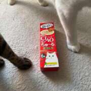 ヒメ日記 2025/11/29 14:40 投稿 みおり 完熟ばなな神戸・三宮店