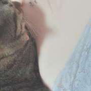 ヒメ日記 2025/12/08 20:23 投稿 みおり 完熟ばなな神戸・三宮店