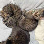 ヒメ日記 2025/12/27 16:25 投稿 みおり 完熟ばなな神戸・三宮店