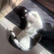 ヒメ日記 2026/01/10 08:58 投稿 みおり 完熟ばなな神戸・三宮店