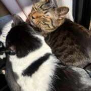 ヒメ日記 2026/02/12 10:05 投稿 みおり 完熟ばなな神戸・三宮店