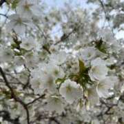 ヒメ日記 2026/04/05 09:27 投稿 みおり 完熟ばなな神戸・三宮店