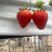 ヒメ日記 2026/04/11 20:52 投稿 みおり 完熟ばなな神戸・三宮店