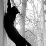 ヒメ日記 2025/08/25 02:35 投稿 あやの One More 奥様 小岩店