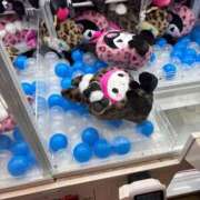 ヒメ日記 2025/12/12 00:05 投稿 あやの One More 奥様 小岩店