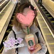 ヒメ日記 2026/02/23 11:37 投稿 いおり 千葉人妻セレブリティ（ユメオト）