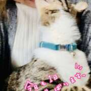 ヒメ日記 2026/02/25 12:30 投稿 いおり 千葉人妻セレブリティ（ユメオト）