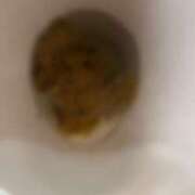 ヒメ日記 2025/10/03 11:15 投稿 らん フェチクラブ