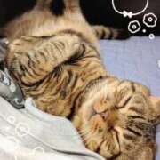 ヒメ日記 2025/09/11 21:20 投稿 いろは 熟女の風俗最終章 蒲田店