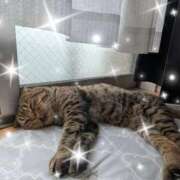 いろは 帰宅＼( ´･ω･`)┐ 熟女の風俗最終章 蒲田店