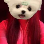 ヒメ日記 2026/03/26 01:49 投稿 のの banana