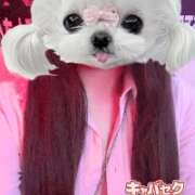 ヒメ日記 2026/03/29 22:48 投稿 のの banana