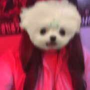 ヒメ日記 2026/04/10 21:55 投稿 のの banana