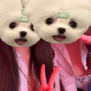 ヒメ日記 2026/04/24 22:32 投稿 のの banana