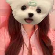 ヒメ日記 2026/04/28 23:23 投稿 のの banana