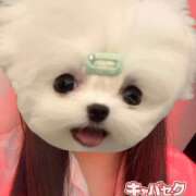 ヒメ日記 2026/09/21 23:47 投稿 のの banana