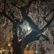 ヒメ日記 2026/04/10 20:58 投稿 りょう 白いぽっちゃりさん仙台店