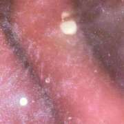 めみ 2026年start✨ One More奥様　立川店