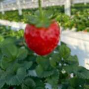 ヒメ日記 2025/12/10 22:00 投稿 さとみ『人妻』 奥様アテンド