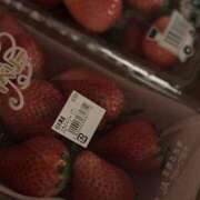 ヒメ日記 2026/02/25 20:00 投稿 さとみ『人妻』 奥様アテンド