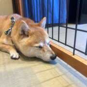 ヒメ日記 2025/08/22 19:02 投稿 Saya【サヤ】 ピンクコレクション大阪