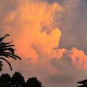 ヒメ日記 2025/09/02 22:35 投稿 ウイ【新人】【宮崎っ子】 Alice