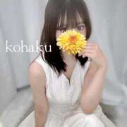 ヒメ日記 2025/09/12 19:20 投稿 こはく ごほうびSPA池袋店