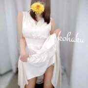 ヒメ日記 2025/09/14 11:25 投稿 こはく ごほうびSPA池袋店