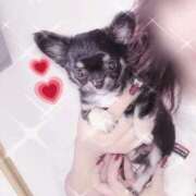 ヒメ日記 2025/12/15 21:21 投稿 さな Welcome Cafe(ウェルカムカフェ) 吉祥寺店