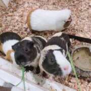 さな (^^) Welcome Cafe(ウェルカムカフェ) 吉祥寺店