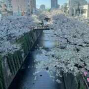 さな (^^) Welcome Cafe(ウェルカムカフェ) 吉祥寺店