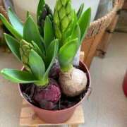 ヒメ日記 2026/02/04 13:19 投稿 渚　結月(なぎさゆづき) 九州熟女　熊本店