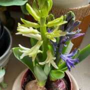 ヒメ日記 2026/02/09 14:16 投稿 渚　結月(なぎさゆづき) 九州熟女　熊本店