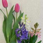 ヒメ日記 2026/02/12 12:26 投稿 渚　結月(なぎさゆづき) 九州熟女　熊本店