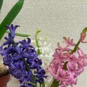 ヒメ日記 2026/02/15 13:16 投稿 渚　結月(なぎさゆづき) 九州熟女　熊本店