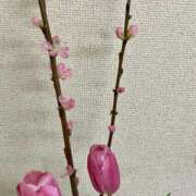 ヒメ日記 2026/02/17 07:36 投稿 渚　結月(なぎさゆづき) 九州熟女　熊本店